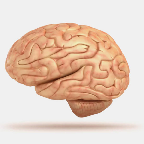 CEN-http-cen.ec-gammagrafia-de-perfusion-cerebral-en-ciudad-de-QUITO-600x600